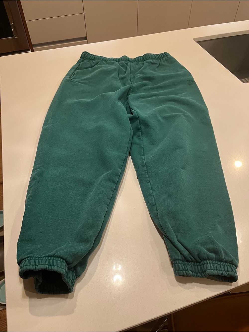 Women’s teal joggers  TNA